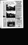 Irish Independent Friday 03 February 1995 Page 31