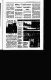 Irish Independent Friday 10 February 1995 Page 37