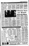 Irish Independent Tuesday 28 February 1995 Page 11