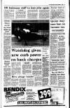 Irish Independent Saturday 04 March 1995 Page 3