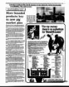 Irish Independent Tuesday 14 March 1995 Page 29