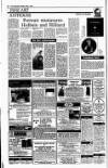 Irish Independent Saturday 01 April 1995 Page 22