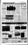Irish Independent Wednesday 05 April 1995 Page 19