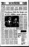 Irish Independent Thursday 06 April 1995 Page 29