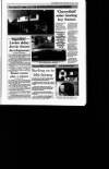 Irish Independent Friday 07 April 1995 Page 39