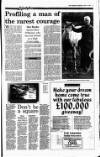 Irish Independent Wednesday 19 April 1995 Page 13