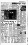 Irish Independent Wednesday 19 April 1995 Page 17
