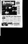 Irish Independent Tuesday 16 May 1995 Page 29
