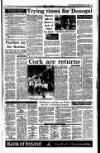 Irish Independent Wednesday 17 May 1995 Page 18