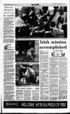 Irish Independent Monday 05 June 1995 Page 29