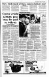 Irish Independent Friday 16 June 1995 Page 7