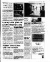 Irish Independent Friday 14 July 1995 Page 37