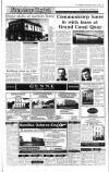 Irish Independent Wednesday 02 August 1995 Page 19