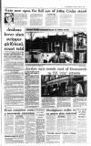Irish Independent Saturday 05 August 1995 Page 9