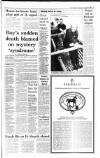 Irish Independent Saturday 12 August 1995 Page 9