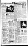 Irish Independent Friday 08 September 1995 Page 19