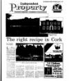 Irish Independent Friday 03 November 1995 Page 35