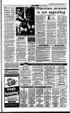 Irish Independent Saturday 04 November 1995 Page 19