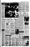 Irish Independent Tuesday 28 November 1995 Page 17