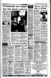 Irish Independent Friday 01 December 1995 Page 21