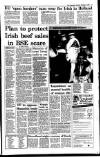 Irish Independent Saturday 09 December 1995 Page 16
