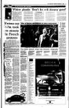 Irish Independent Wednesday 13 December 1995 Page 11