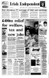 Irish Independent Tuesday 02 January 1996 Page 1