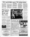 Irish Independent Tuesday 02 January 1996 Page 29