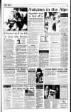 Irish Independent Tuesday 09 January 1996 Page 17