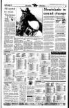 Irish Independent Tuesday 09 January 1996 Page 19