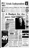 Irish Independent Wednesday 17 January 1996 Page 1