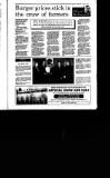 Irish Independent Tuesday 23 January 1996 Page 35