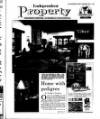 Irish Independent Friday 01 March 1996 Page 29