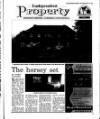 Irish Independent Friday 29 March 1996 Page 29