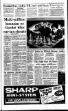 Irish Independent Friday 12 April 1996 Page 3