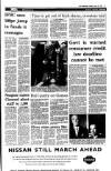 Irish Independent Tuesday 16 April 1996 Page 13