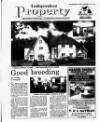 Irish Independent Friday 05 July 1996 Page 31