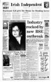 Irish Independent Friday 25 October 1996 Page 1
