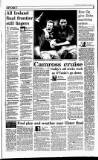 Irish Independent Monday 02 December 1996 Page 31