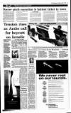 Irish Independent Tuesday 01 April 1997 Page 10