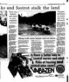 Irish Independent Tuesday 04 November 1997 Page 41