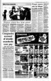 Irish Independent Saturday 08 November 1997 Page 3