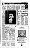 Irish Independent Tuesday 12 January 1999 Page 11