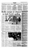 Irish Independent Saturday 23 January 1999 Page 17