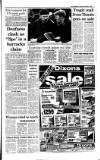 Irish Independent Thursday 04 February 1999 Page 7