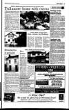 Irish Independent Friday 28 May 1999 Page 33