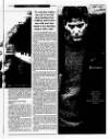 Irish Independent Saturday 02 September 2000 Page 62
