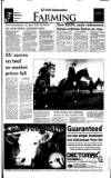 Irish Independent Tuesday 14 November 2000 Page 33