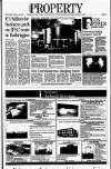 Irish Independent Wednesday 29 January 2003 Page 17