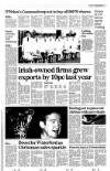 Irish Independent Friday 05 January 2007 Page 22